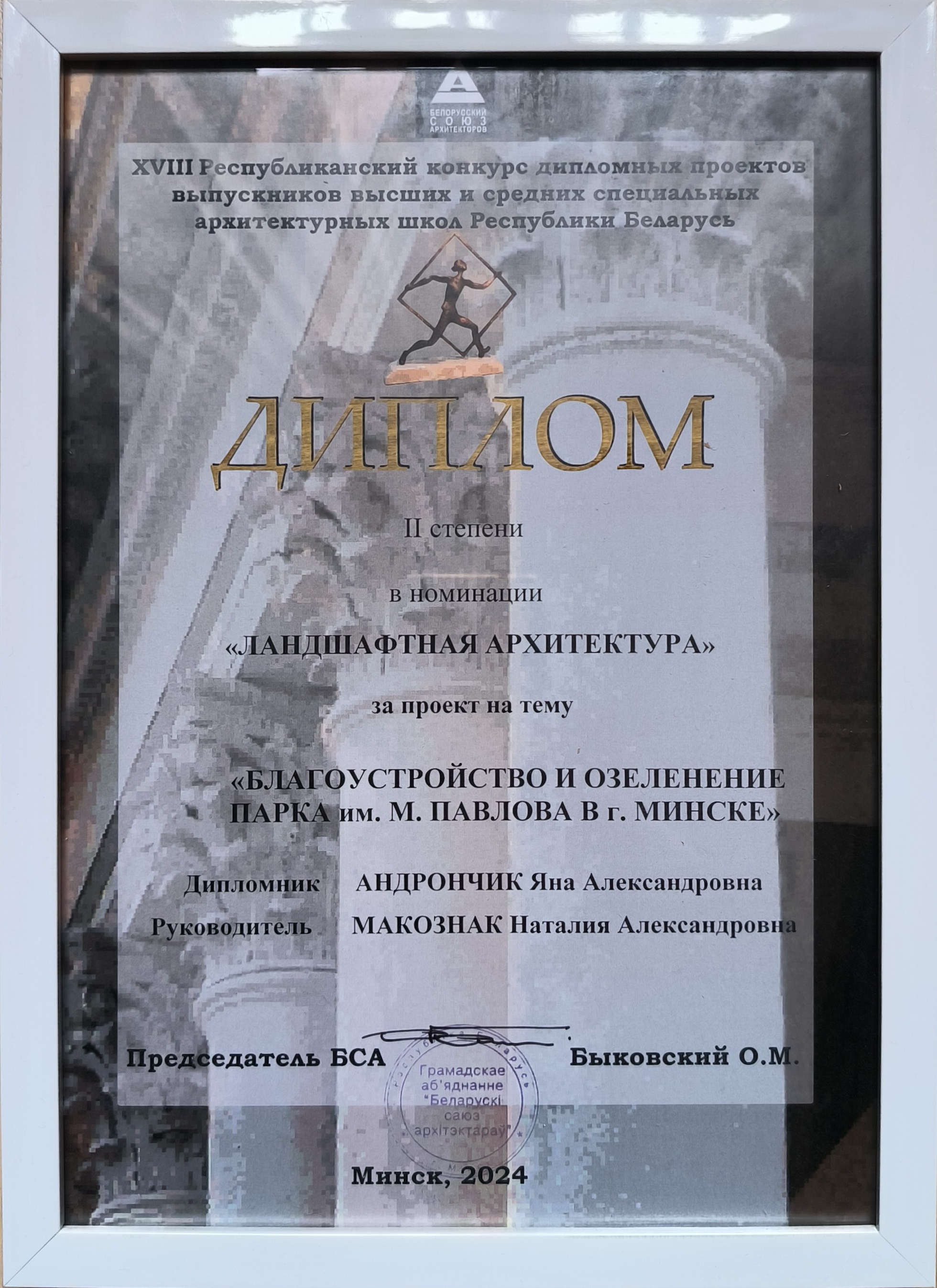 Диплом_Андрончик_БСА